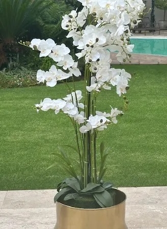 Orchid 180cm – 13 Stem Artificial Orchid
