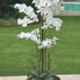 Orchid 180cm – 13 Stem Artificial Orchid