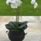Orchid 78cm – 3 Leaves, 3 Branches Artificial Orchid