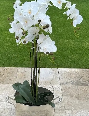 Orchid 98cm – 6 Leaves, 6 Branches Artificial Orchid