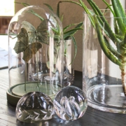 Green Butterflies in Glass Dome – 26×16 cm